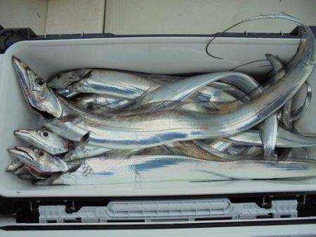 ＨＡＲＵＫＡ丸　はるかまる 釣果