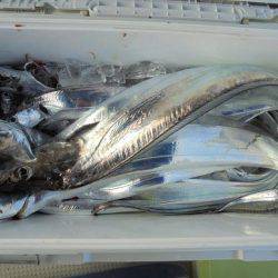 ＨＡＲＵＫＡ丸　はるかまる 釣果