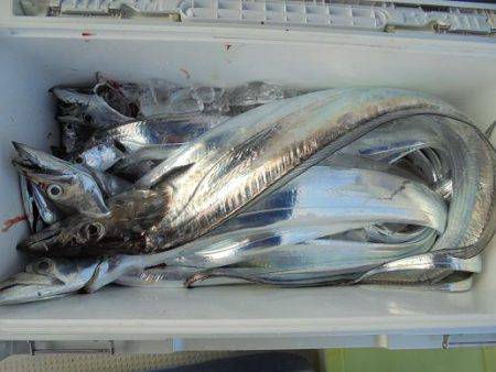 ＨＡＲＵＫＡ丸　はるかまる 釣果