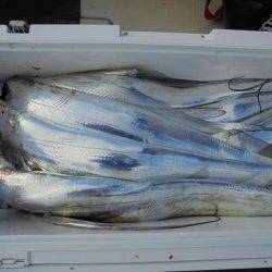 ＨＡＲＵＫＡ丸　はるかまる 釣果