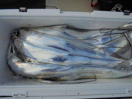 ＨＡＲＵＫＡ丸　はるかまる 釣果