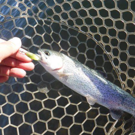 浜名湖フィッシングリゾート 釣果