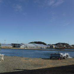 浜名湖フィッシングリゾート 釣果