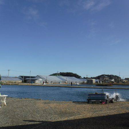 浜名湖フィッシングリゾート 釣果