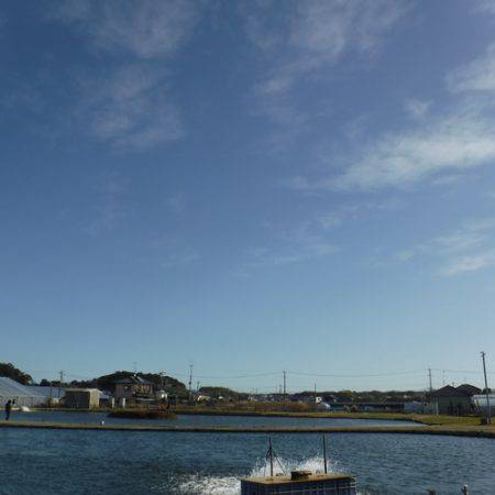 浜名湖フィッシングリゾート 釣果