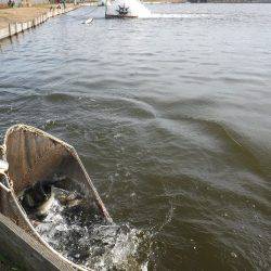 浜名湖フィッシングリゾート 釣果