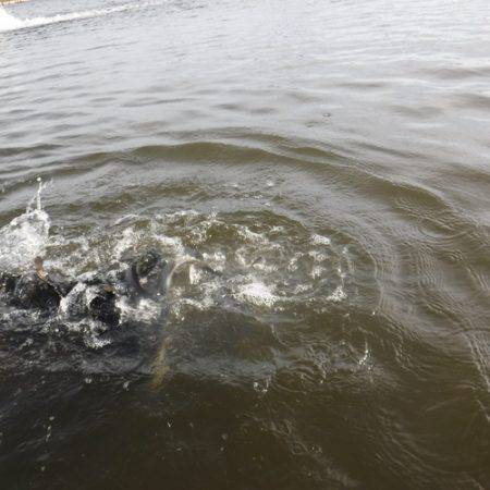 浜名湖フィッシングリゾート 釣果