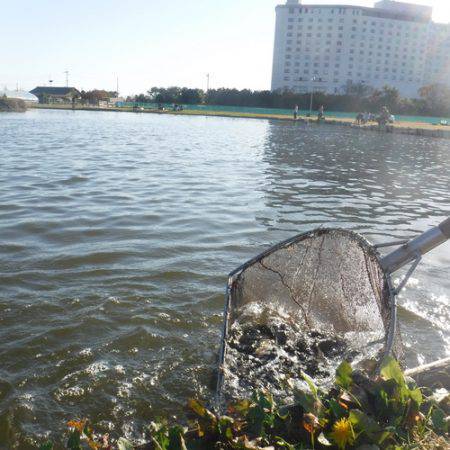浜名湖フィッシングリゾート 釣果