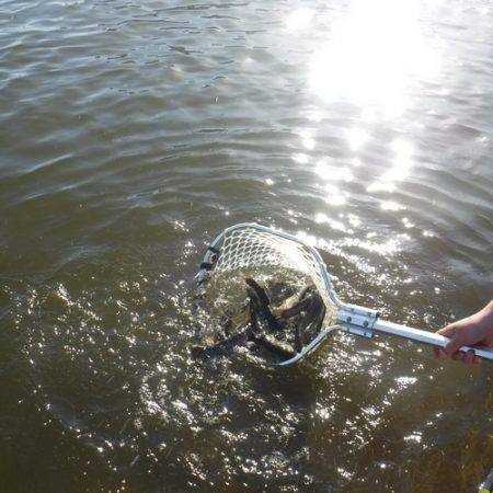 浜名湖フィッシングリゾート 釣果