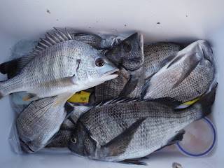 バラモン1号 釣果