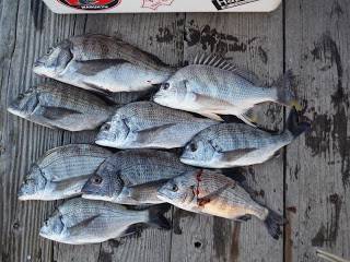 バラモン1号 釣果