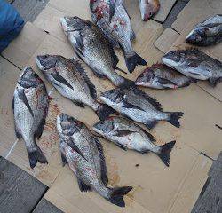 バラモン1号 釣果