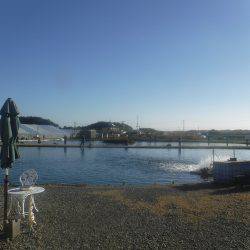 浜名湖フィッシングリゾート 釣果