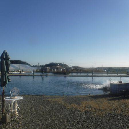 浜名湖フィッシングリゾート 釣果