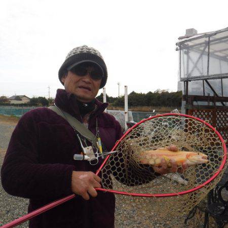 浜名湖フィッシングリゾート 釣果