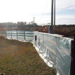 浜名湖フィッシングリゾート 釣果