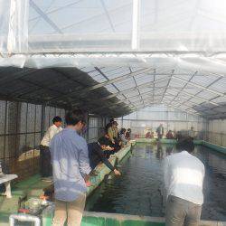 浜名湖フィッシングリゾート 釣果