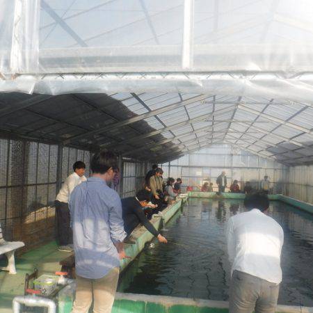 浜名湖フィッシングリゾート 釣果