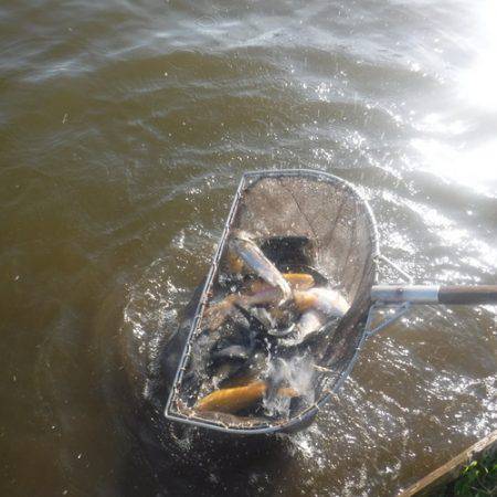 浜名湖フィッシングリゾート 釣果