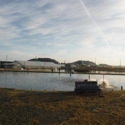 浜名湖フィッシングリゾート 釣果