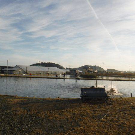 浜名湖フィッシングリゾート 釣果