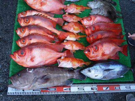 三吉丸 釣果