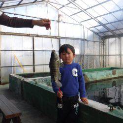 浜名湖フィッシングリゾート 釣果