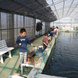 浜名湖フィッシングリゾート 釣果