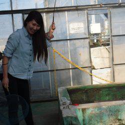 浜名湖フィッシングリゾート 釣果