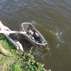 浜名湖フィッシングリゾート 釣果