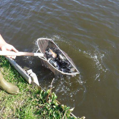 浜名湖フィッシングリゾート 釣果