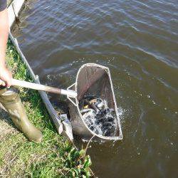 浜名湖フィッシングリゾート 釣果