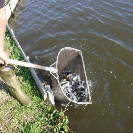 浜名湖フィッシングリゾート 釣果