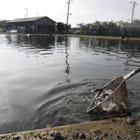 浜名湖フィッシングリゾート 釣果