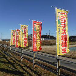 浜名湖フィッシングリゾート 釣果