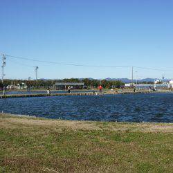 浜名湖フィッシングリゾート 釣果