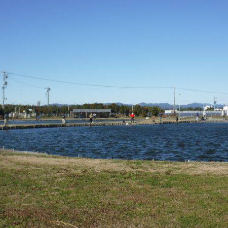 浜名湖フィッシングリゾート 釣果