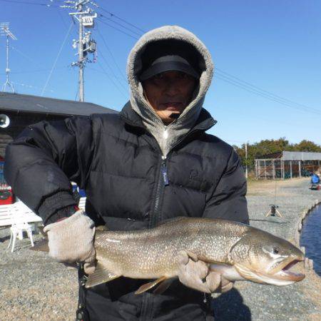 浜名湖フィッシングリゾート 釣果