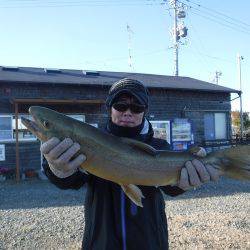 浜名湖フィッシングリゾート 釣果