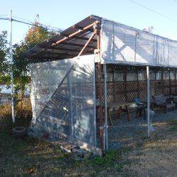 浜名湖フィッシングリゾート 釣果