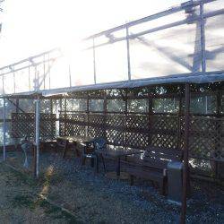 浜名湖フィッシングリゾート 釣果