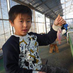 浜名湖フィッシングリゾート 釣果