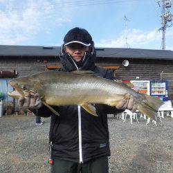 浜名湖フィッシングリゾート 釣果