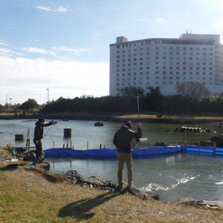 浜名湖フィッシングリゾート 釣果