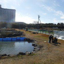 浜名湖フィッシングリゾート 釣果