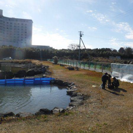 浜名湖フィッシングリゾート 釣果