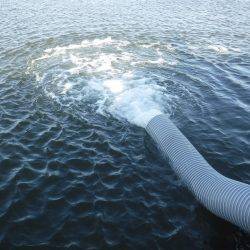 浜名湖フィッシングリゾート 釣果