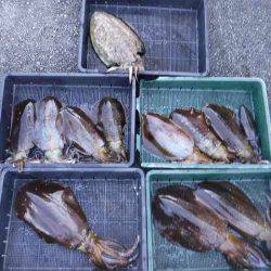 三吉丸 釣果