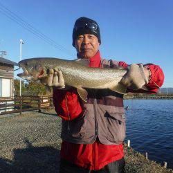 浜名湖フィッシングリゾート 釣果