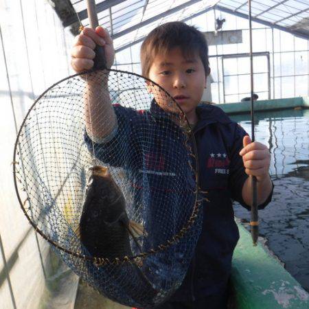 浜名湖フィッシングリゾート 釣果